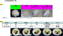 お食事の形態